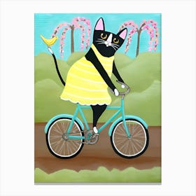 Cat Raiding Bicycle Canvas Print