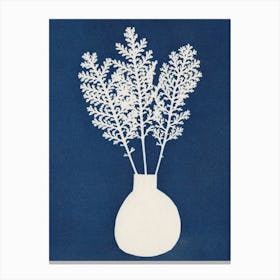 Cyanotype Still Life Studies 4 Canvas Print