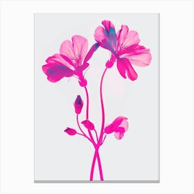 Hot Pink Geranium 1 Canvas Print