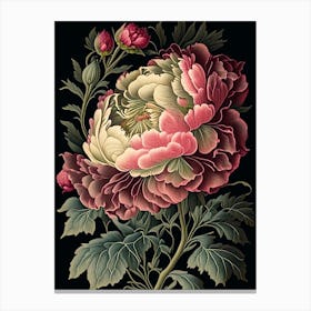 Peony Floral Botanical Vintage Poster Flower Canvas Print
