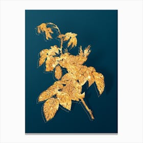 Vintage Apple Rose Botanical in Gold on Teal Blue n.0254 Canvas Print