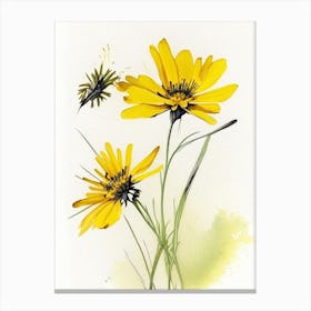 Tickseed Wildflower Watercolour Canvas Print