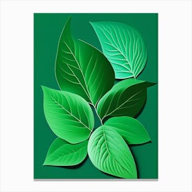 Spearmint Leaf Vibrant Inspired 2 Canvas Print