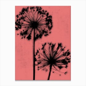 Coral black allium Canvas Print