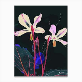 Neon Flowers On Black Cyclamen 3 Canvas Print