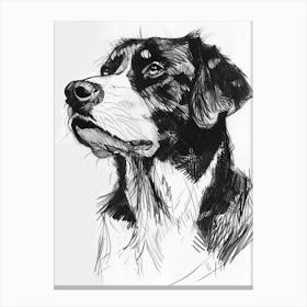 Greater Swiss Mountain Dog Line Sketch 3 Canvas Print