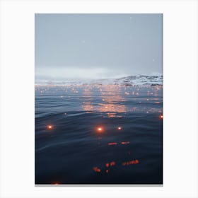 Arctic Glow Canvas Print