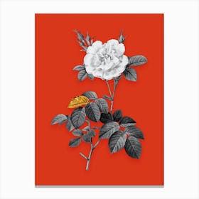 Vintage White Rose Black and White Gold Leaf Floral Art on Tomato Red n.0700 Canvas Print