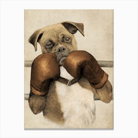 The Boxer Canvas Print