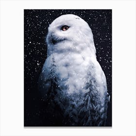 Snowy Owl And Forest Of Firs Canvas Print