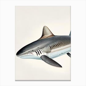 Broadnose Sevengill Shark Vintage Canvas Print