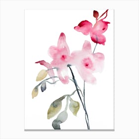 Orchid 4 Canvas Print