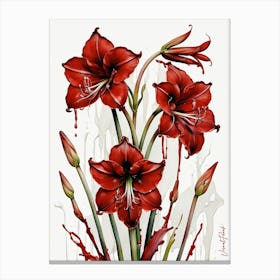 Red Amarilis Flowers Canvas Print