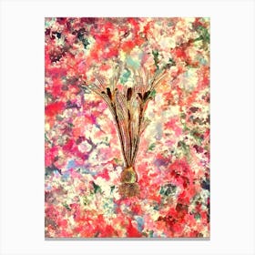 Impressionist Cloth of Gold Crocus Botanical Painting in Blush Pink and Gold n.0020 Canvas Print