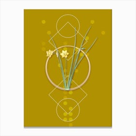 Vintage Daffodil Botanical with Geometric Line Motif and Dot Pattern n.0133 Canvas Print