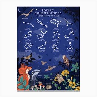 Zodiac Constellations And Nocturnal Animals Canvas Print
