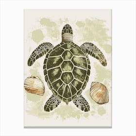 Sea Turtle & Shells Vintage Illustration 3 Canvas Print
