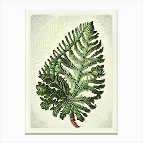 Rock Cap Fern Vintage Botanical Poster Canvas Print