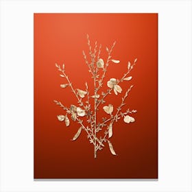 Gold Botanical Yellow Broom Flowers on Tomato Red n.0996 Canvas Print