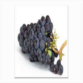 Black Grapes Canvas Print