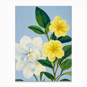 Gardenia Bold Graphic Plant Canvas Print