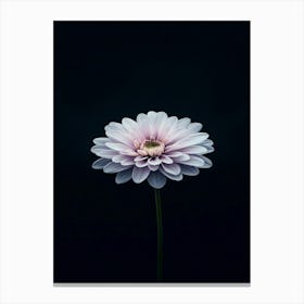 Gerbera Daisy 14 Canvas Print