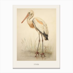 Vintage Bird Drawing Stork 3 Poster Canvas Print