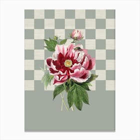 Peony, Retro Botanical in Sage Green and Pink Canvas Print