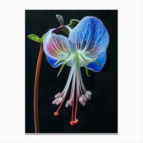 Blue Fuchsia Flower 1 Canvas Print