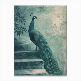 Vintage Peacock On Steps Cyanotype Inspired Canvas Print