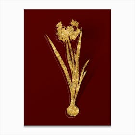 Vintage Daffodil Botanical in Gold on Red n.0031 Canvas Print