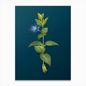 Vintage Greater Periwinkle Flower Botanical Art on Teal Blue n.0691 Canvas Print