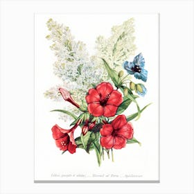 Red, White And Blue Flowers Canvas Print