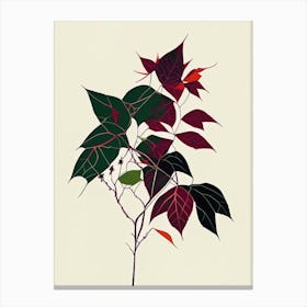Western Poison Ivy Minimal Line Drawing 4 Canvas Print