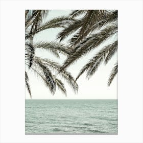 Palm Trees by the Beach_2287046 Canvas Print