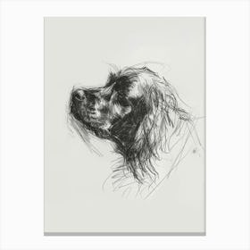 Sussex Spaniel Dog Charcoal Line 1 Canvas Print