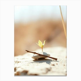 Small Plant Growing On A Rock Canvas Print