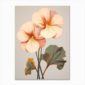 Floral Illustration Nasturtium 1 Canvas Print