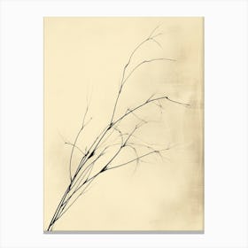 Twigs 1 Canvas Print