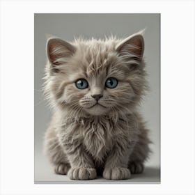 Cute Kitten 12 Canvas Print