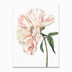 Watercolour Flower On White 11 1 Stampe su tela