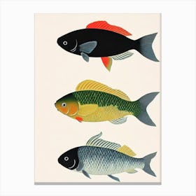 Koi Fish Vintage Poster Canvas Print
