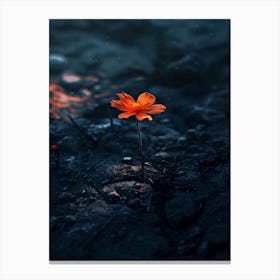 Flower In The Sand Canvas Print