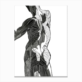 bodies 2 Canvas Print