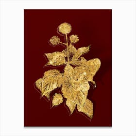 Vintage Common Ivy Botanical in Gold on Red n.0163 Canvas Print