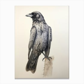 Vintage Bird Drawing Raven 2 Canvas Print