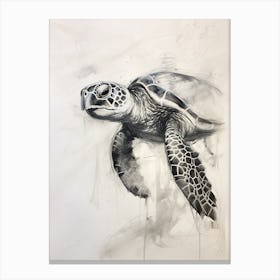 Charcoal Sketch Of A Sea Turtle Canvas Print