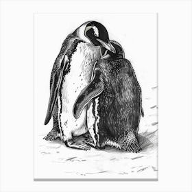 King Penguin Snuggling With Their Mate 3 Canvas Print