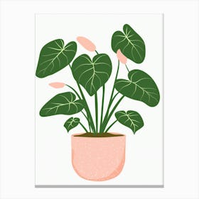 Plant In A Pot 36 Canvas Print