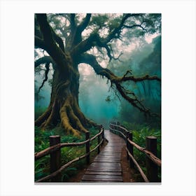 Old Tree In The Forest Canvas Print